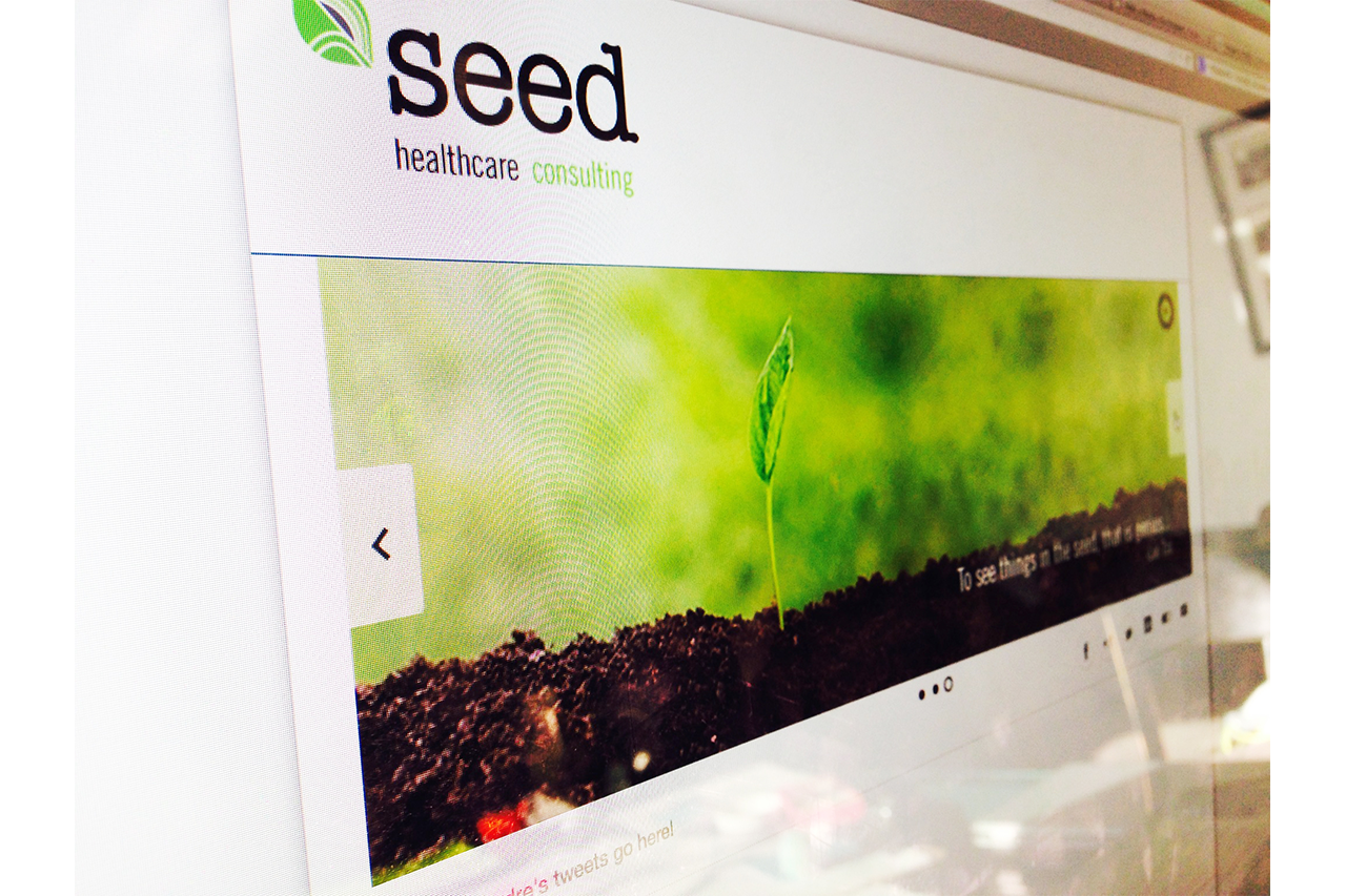Seed Healthcare Consulting